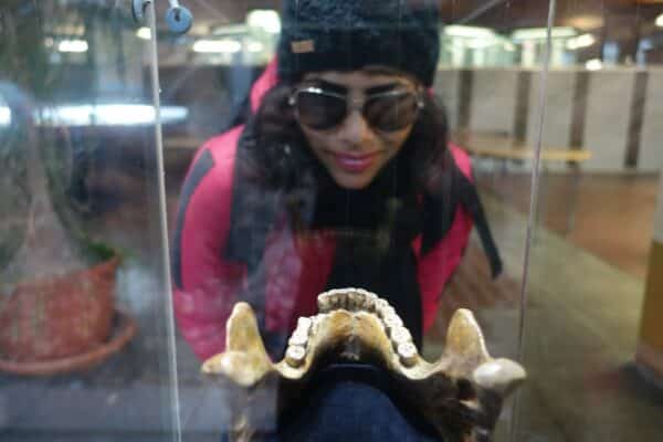 Expert Dental Care